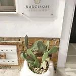 Narcissus Luxury Appartement *