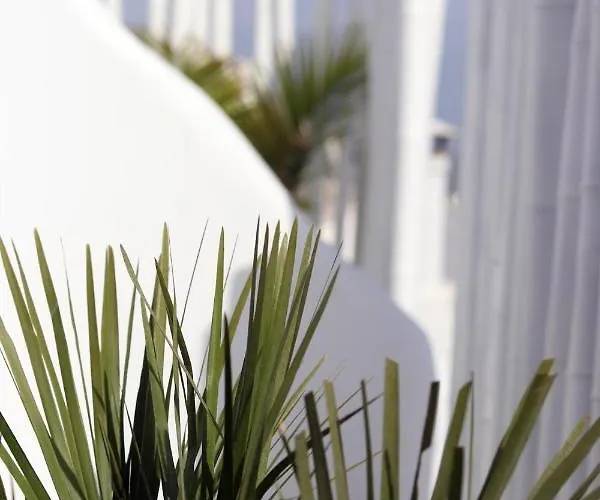 Apartman Narcissus Luxury Naxos City