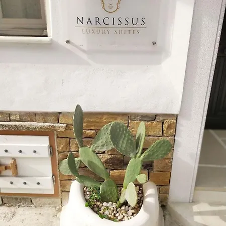 Narcissus Luxury 公寓 *