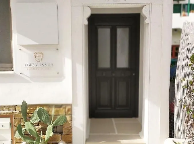 公寓 Narcissus Luxury *